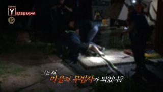 궁금한 이야기 Y