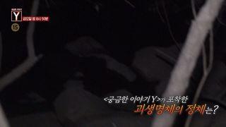 궁금한 이야기 Y