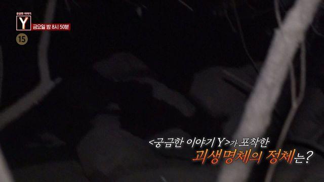 궁금한 이야기 Y