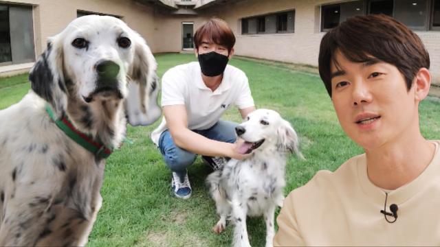 드림맨 유연석, 1년 반 동안 함께한 반려견 ‘리타’의 구출 스토리