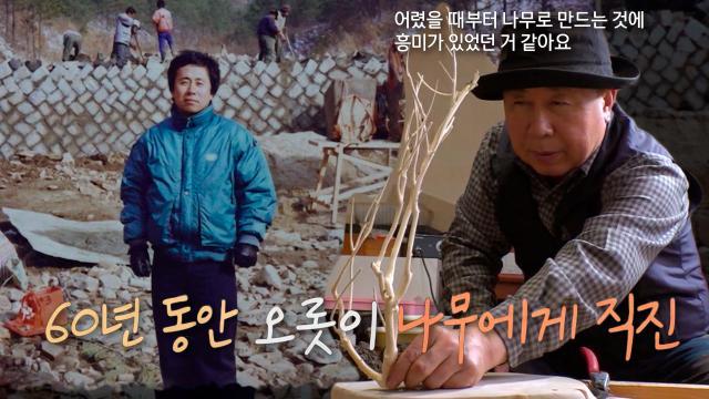 ‘나무 궁예’ 한 우물만 판 남자, 나무에 대한 사랑이 커지게 된 계기!