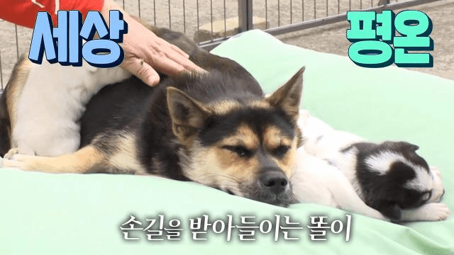 똘이네 가족을 위해 새롭게 마련한 포근한 보금자리★