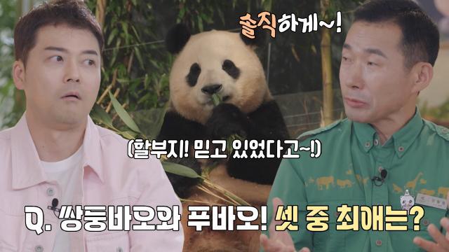 ‘할부지에게 물어바오!’ 강철원 사육사에게 쏟아진 질문 (ft. 강바오의 최애)