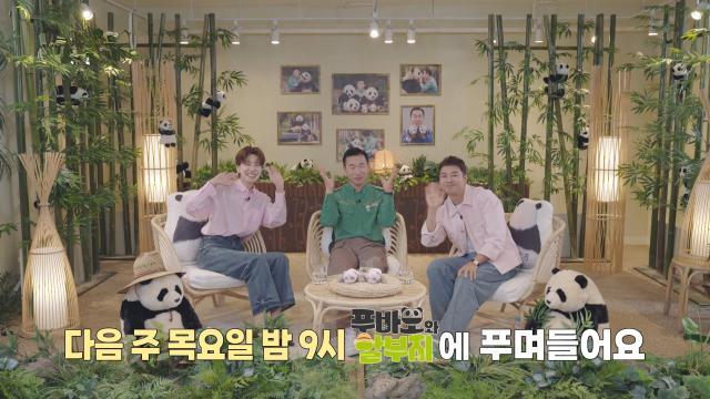 [11월 30일 예고] ‘푸바오의 부모’ 러바오×아이바오 만나러 간 강철원 사육사★