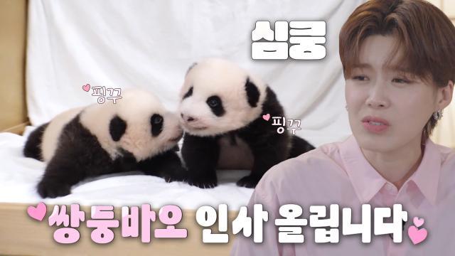 ‘쌍둥바오’ 루이바오×후이바오, 바오 패밀리 대공개★