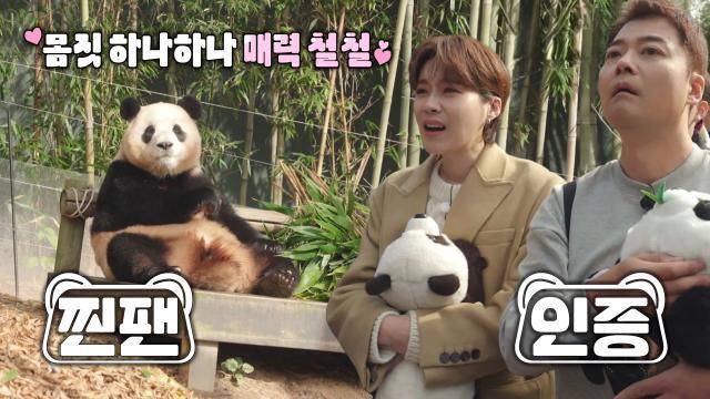‘슈푸스타’ 푸바오 영접하기 위해 모인 전현무×장도연