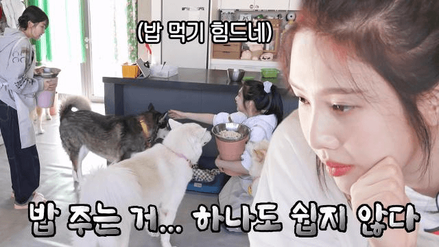 드림걸즈 조이&슬기, 우당탕탕 대형견 가족 식사 시간♨
