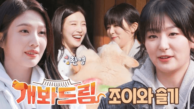 레드벨벳 조이&슬기, 대형견 가족과 함께하는 특별한 하루★