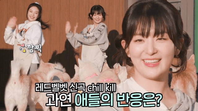 드림걸즈 조이&슬기, 아이들을 위한 ‘chill kill’ 특별 공연♪