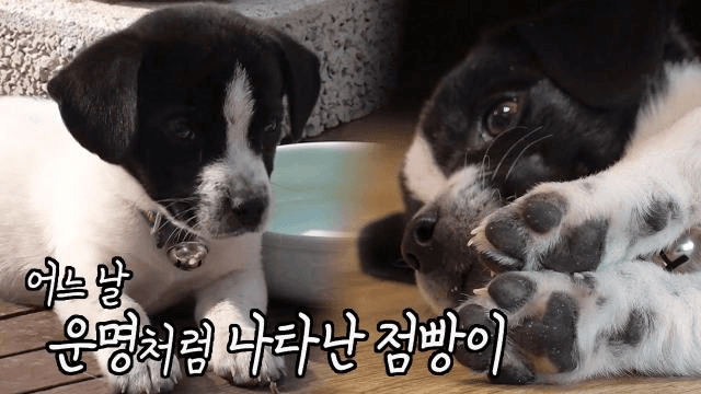 떡잎부터 영재의 조짐이 보이는 똑똑이 점빵 훈련생♥