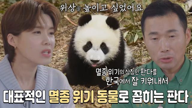 장도연, 강철원 사육사에게 중국 판다를 한국에 데리고 오는 이유 질문