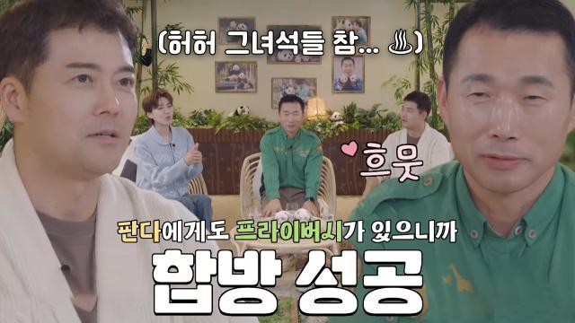 ‘국내 최초의 자연 번식 판다’ 많은 이들의 노력이 있었던 아이바오와 러바오의 합방♥