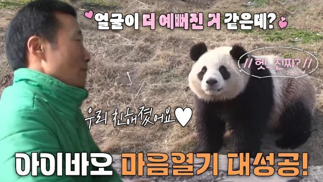 강철원 사육사, 자꾸만 멀어지는 아이바오 마음 녹이기 대작전