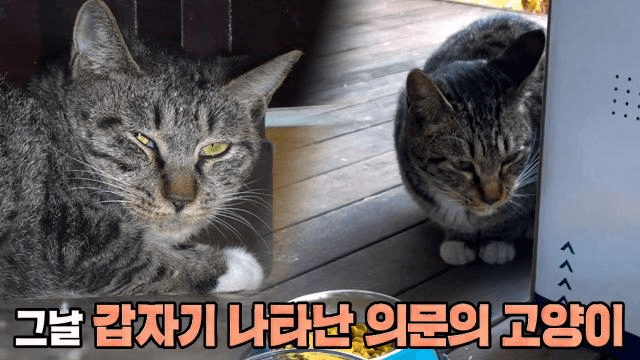 어느 날 갑자기 시작된 ‘강동원’과의 기묘한 동거