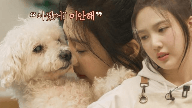 개봐드림 중 난관에 봉착한 레드벨벳 조이&슬기