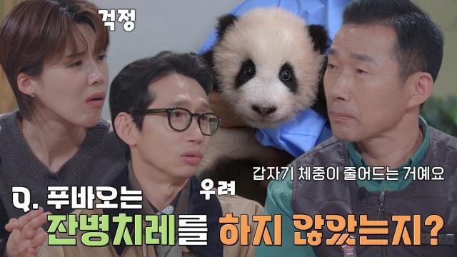 강철원 사육사, 푸바오를 돌보며 가장 힘들었던 순간!