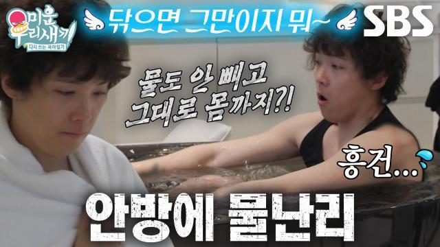 미운 우리 새끼