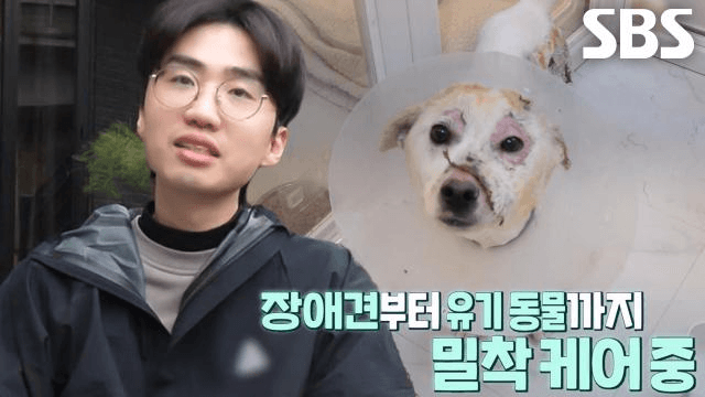 TV 동물농장