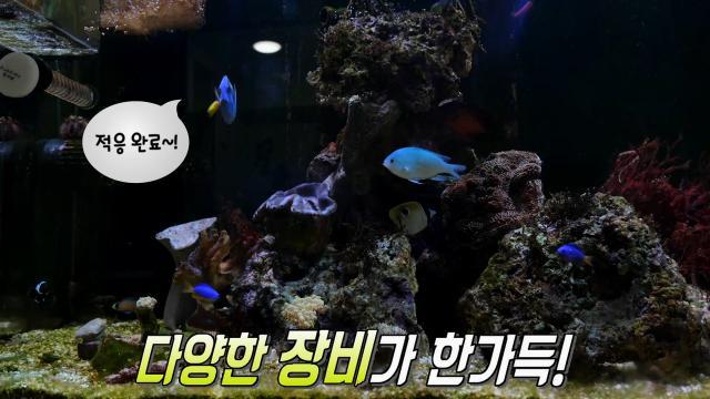 생방송 투데이