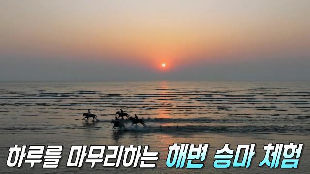 생방송 투데이