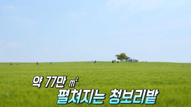 생방송 투데이