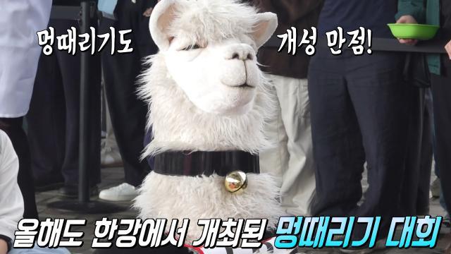 생방송 투데이