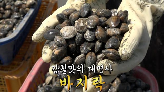 생방송 투데이