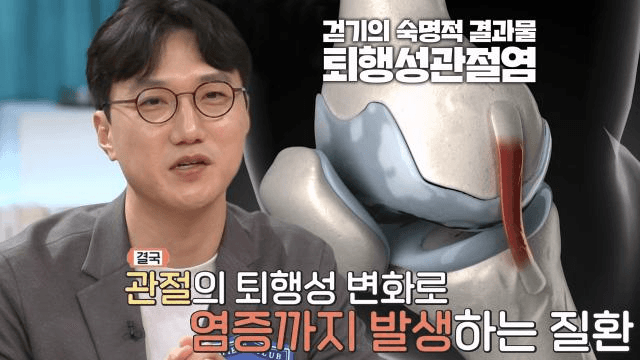 사피엔스 클럽