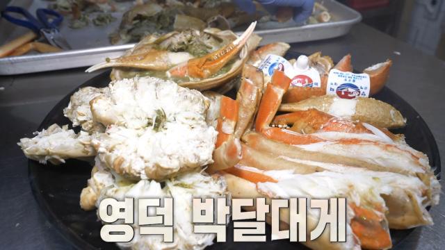 생방송 투데이