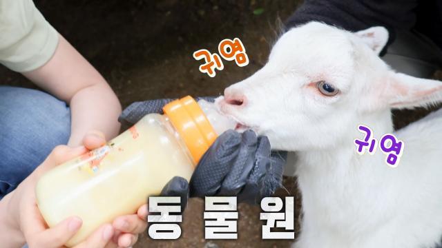 생방송 투데이