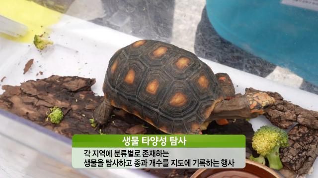 생방송 투데이