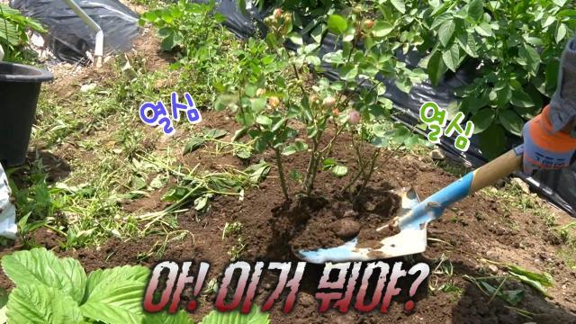 생방송 투데이