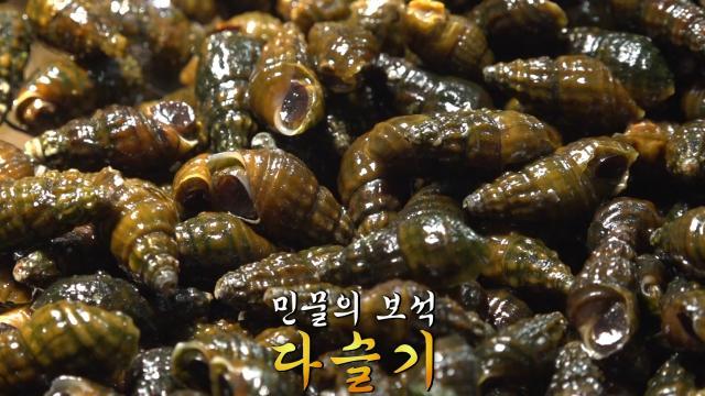 생방송 투데이