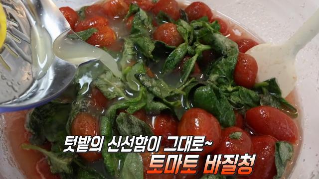 생방송 투데이