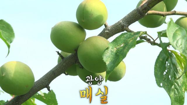 생방송 투데이