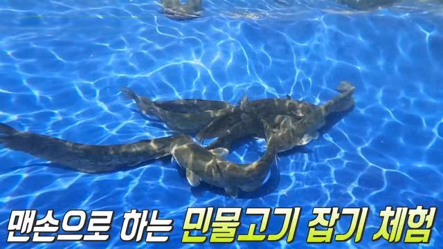 생방송 투데이