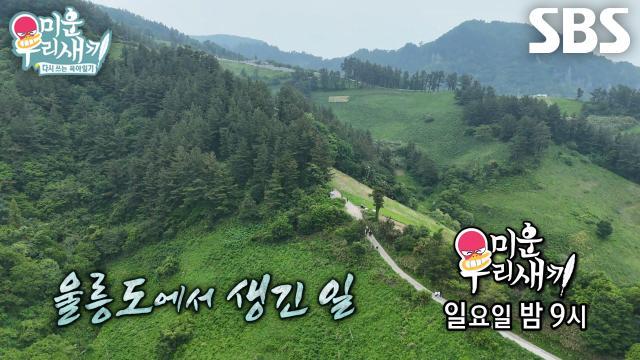 미운 우리 새끼