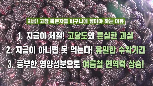 생방송 투데이