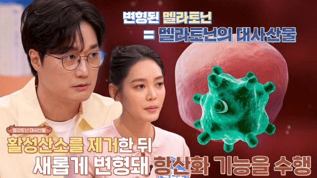 사피엔스 클럽