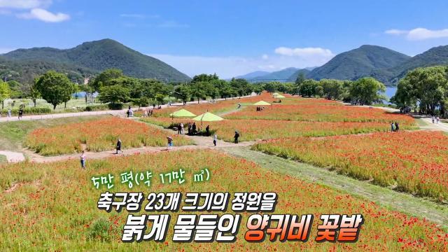 생방송 투데이