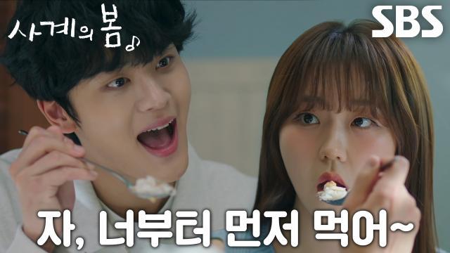사계의 봄
