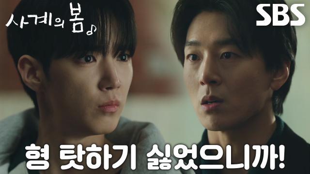 사계의 봄