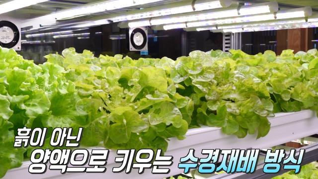 생방송 투데이