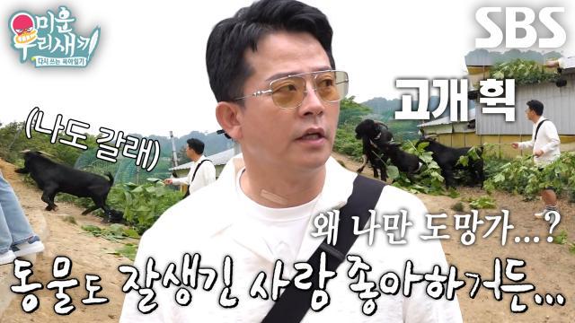 미운 우리 새끼