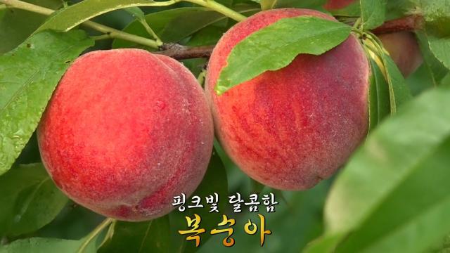 생방송 투데이