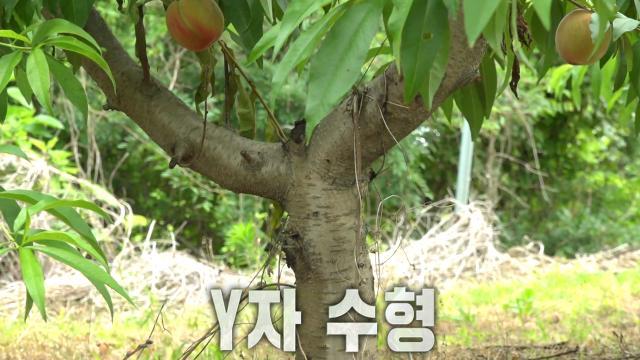 생방송 투데이