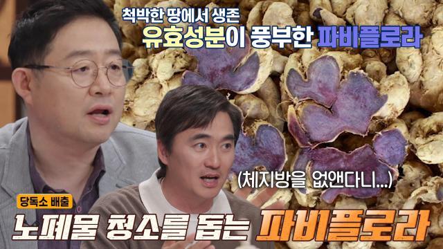세 개의 시선