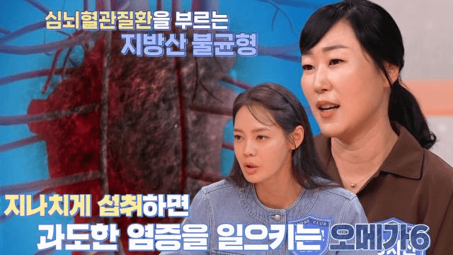 사피엔스 클럽