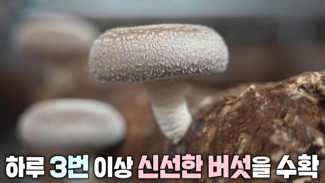 생방송 투데이