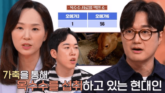 사피엔스 클럽
